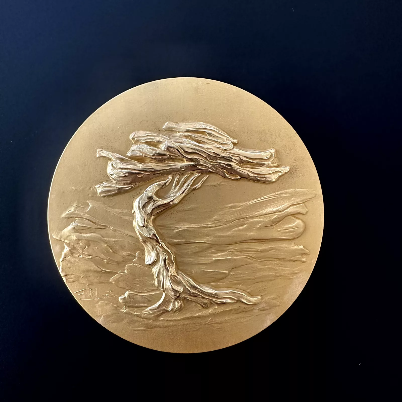 Medaille LignaVerda
